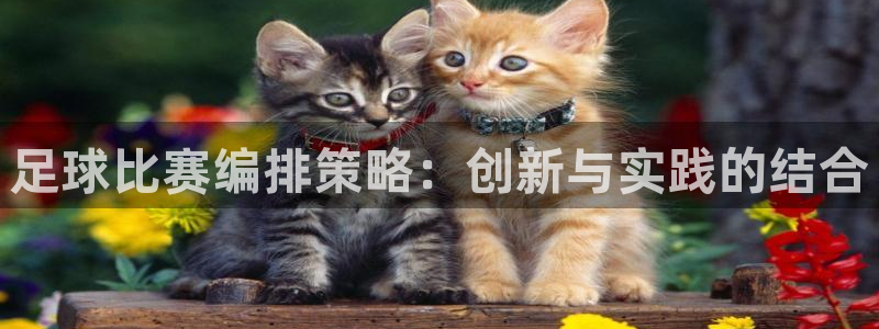  足球比赛编排策略：创新与实践的结合