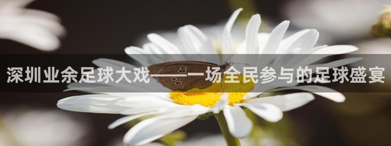  深圳业余足球大戏——一场全民参与的足球盛宴