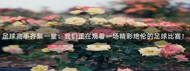 足球高手齐聚一堂：我们正在观看一场精