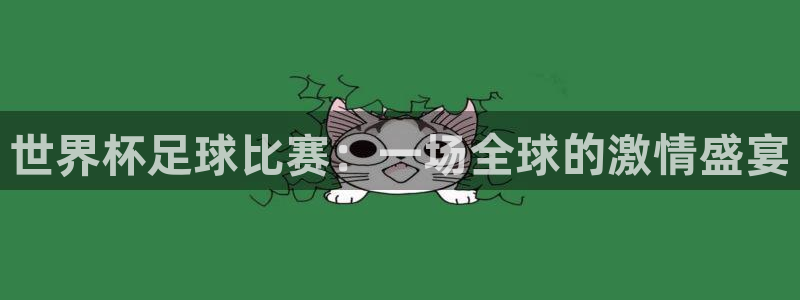  世界杯足球比赛：一场全球的激情盛宴