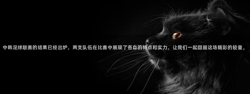 中韩足球联赛的结果已经出炉，两支队伍在比赛中展现了各自的特点