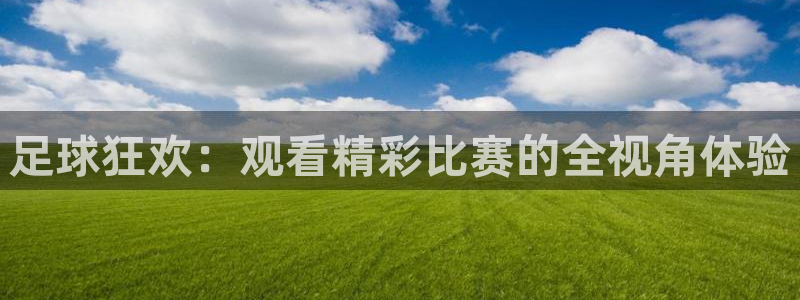 足球狂欢：观看精彩比赛的全视角体验