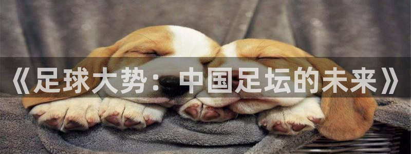  《足球大势：中国足坛的未来》