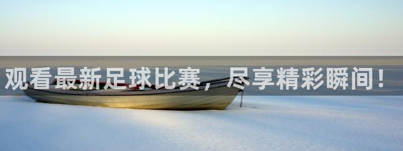 新球体育网球比分