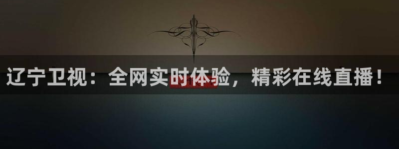 新球体育足球即时比分：辽宁卫视：全网实时体验，精彩在线直播！