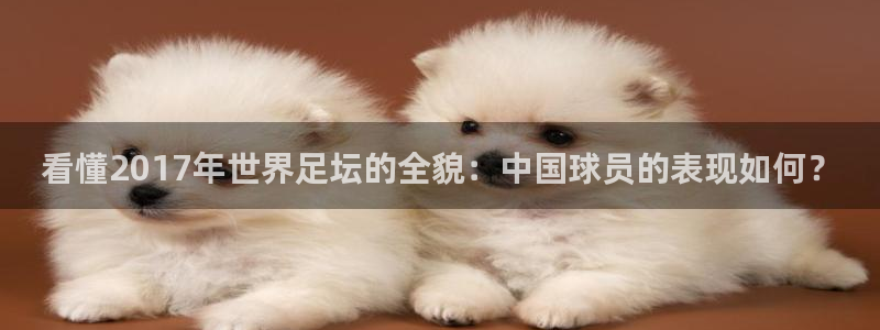 看懂2017年世界足坛的全貌:中国球员的表现如何?