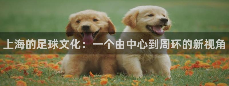 上海的足球文化：一个由中心到周环的新视角