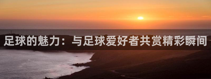  足球的魅力：与足球爱好者共赏精彩瞬间
