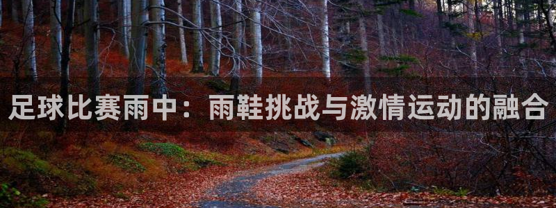 足球比赛雨中：雨鞋挑战与激情运动的融合