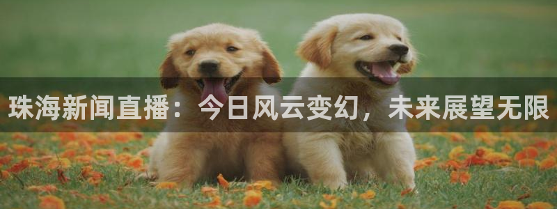 新球体育比分：珠海新闻直播：今日风云变幻，未来展望无限