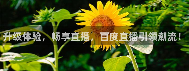 新球体育比分网：升级体验，畅享直播，百度直播引领潮流！