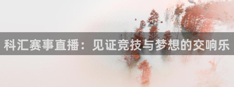 新球体育完整版：科汇赛事直播：见证竞技与梦想的交响乐