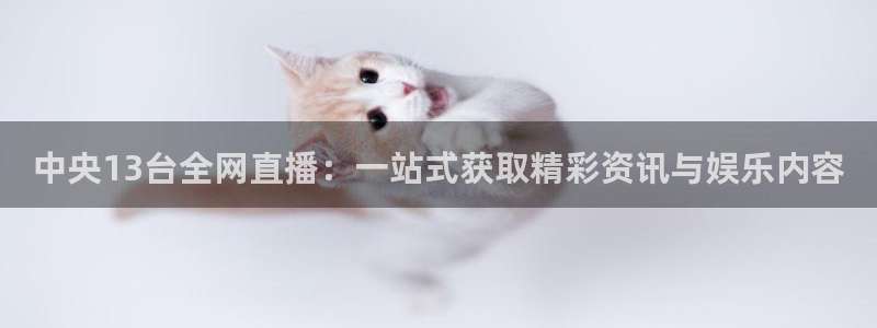 新球体育app：中央13台全网直播：一站式获取精彩资讯与娱乐内容