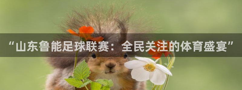 新球体育app：“山东鲁能足球联赛：全民关注的体育盛宴”