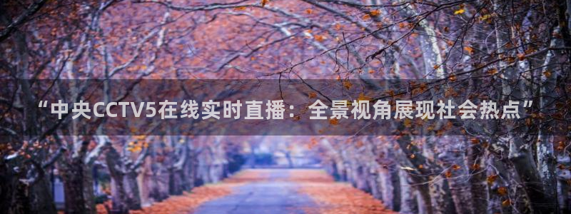 新球体育足球即时比分：“中央CCTV5在线实时直播：全景视角展现社会热点”