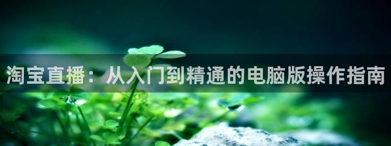 新球体育赛事：淘宝直播：从入门到精通的电脑版操作指南