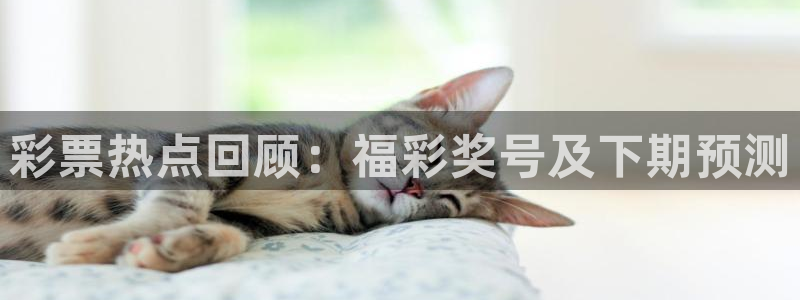 新球赛直播：彩票热点回顾：福彩奖号及下期预测
