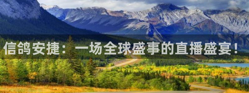 新球体育app：信鸽安捷：一场全球盛事的直播盛宴！